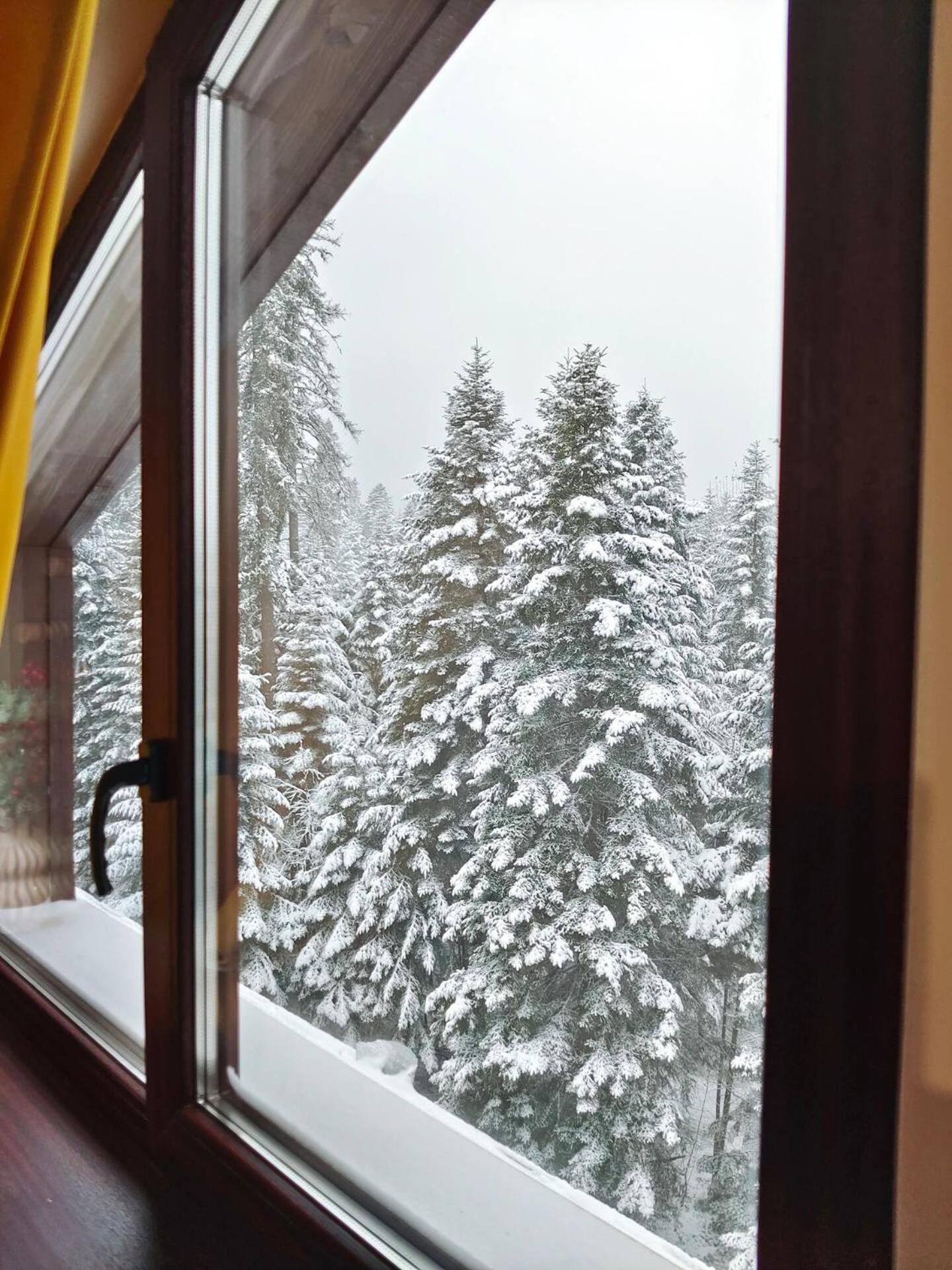 Borovets Dream Studio Kültér fotó