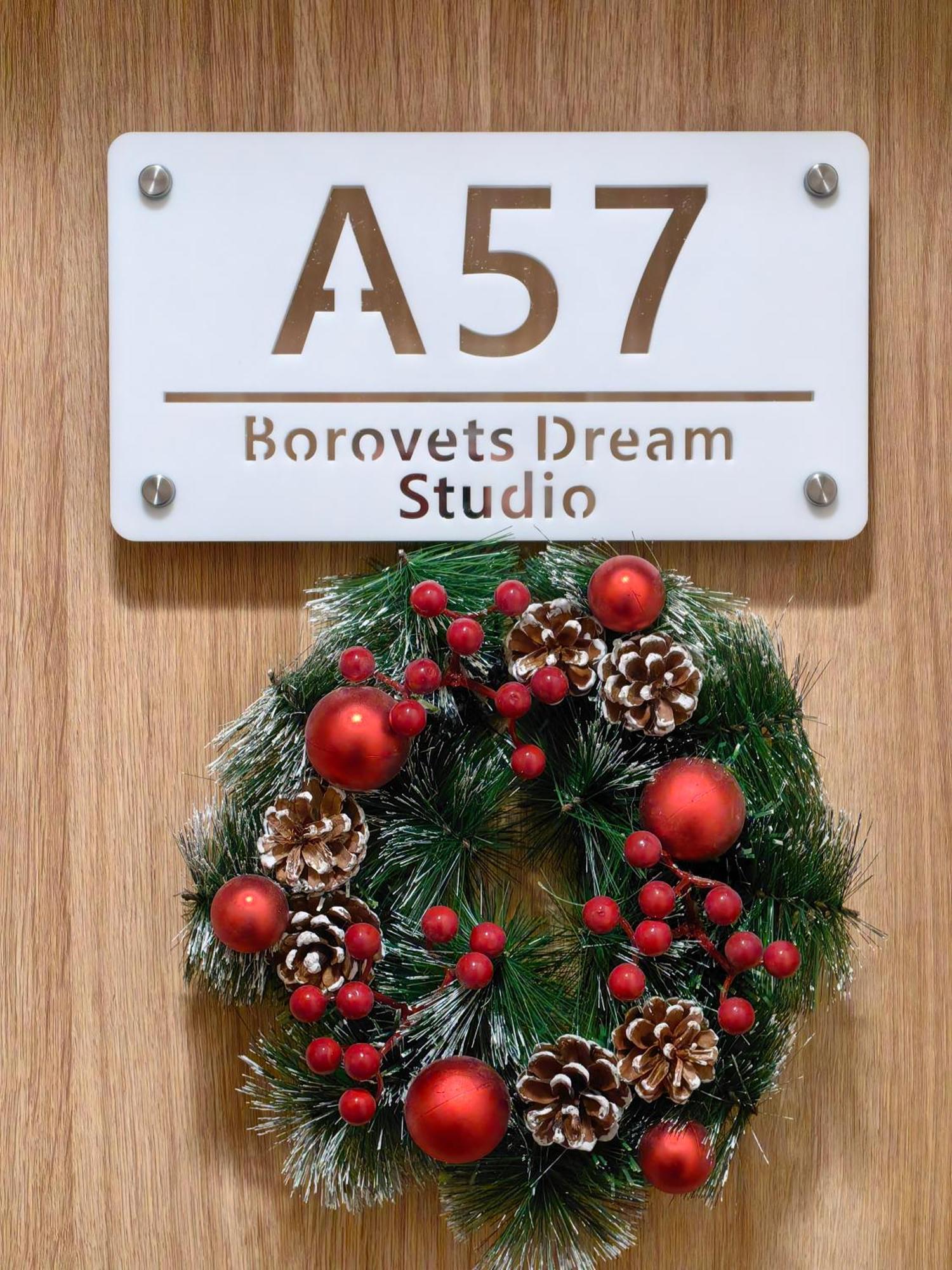 Borovets Dream Studio Kültér fotó